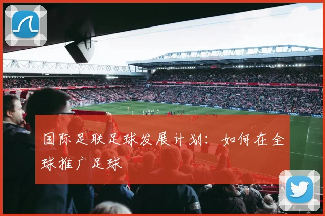 国际足联足球发展计划：如何在全球推广足球