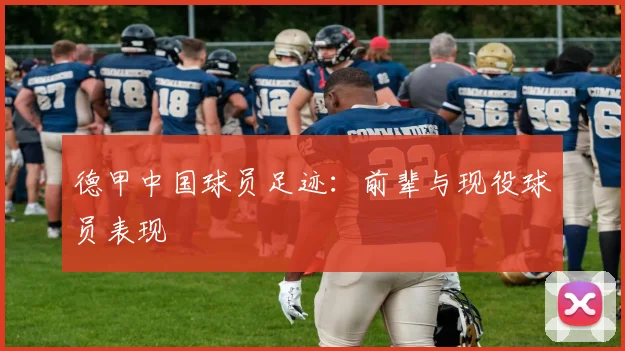 德甲中国球员足迹：前辈与现役球员表现