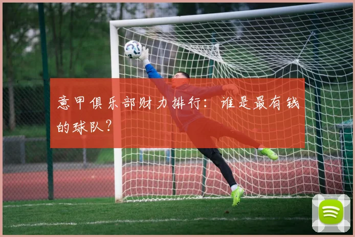 意甲俱乐部财力排行:谁是最有钱的球队?