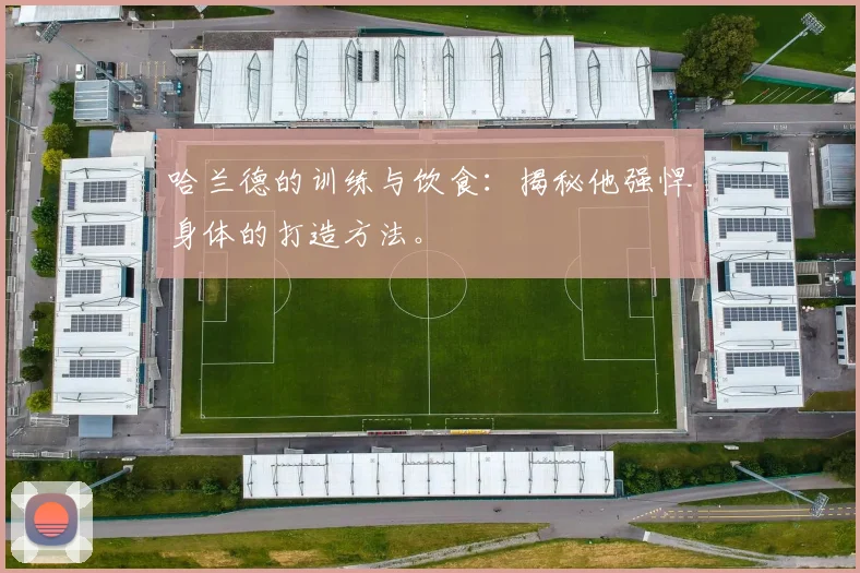 哈兰德的训练与饮食:揭秘他强悍身体的打造方法。