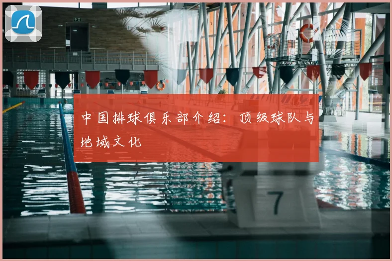 中国排球俱乐部介绍：顶级球队与地域文化